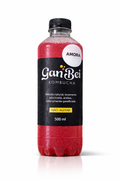 Kombucha GanBei Amora