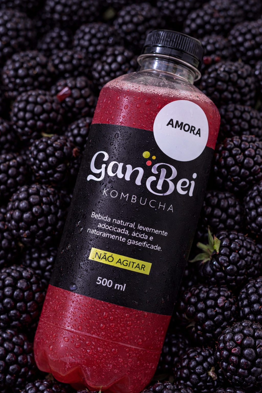Kombucha GanBei Amora