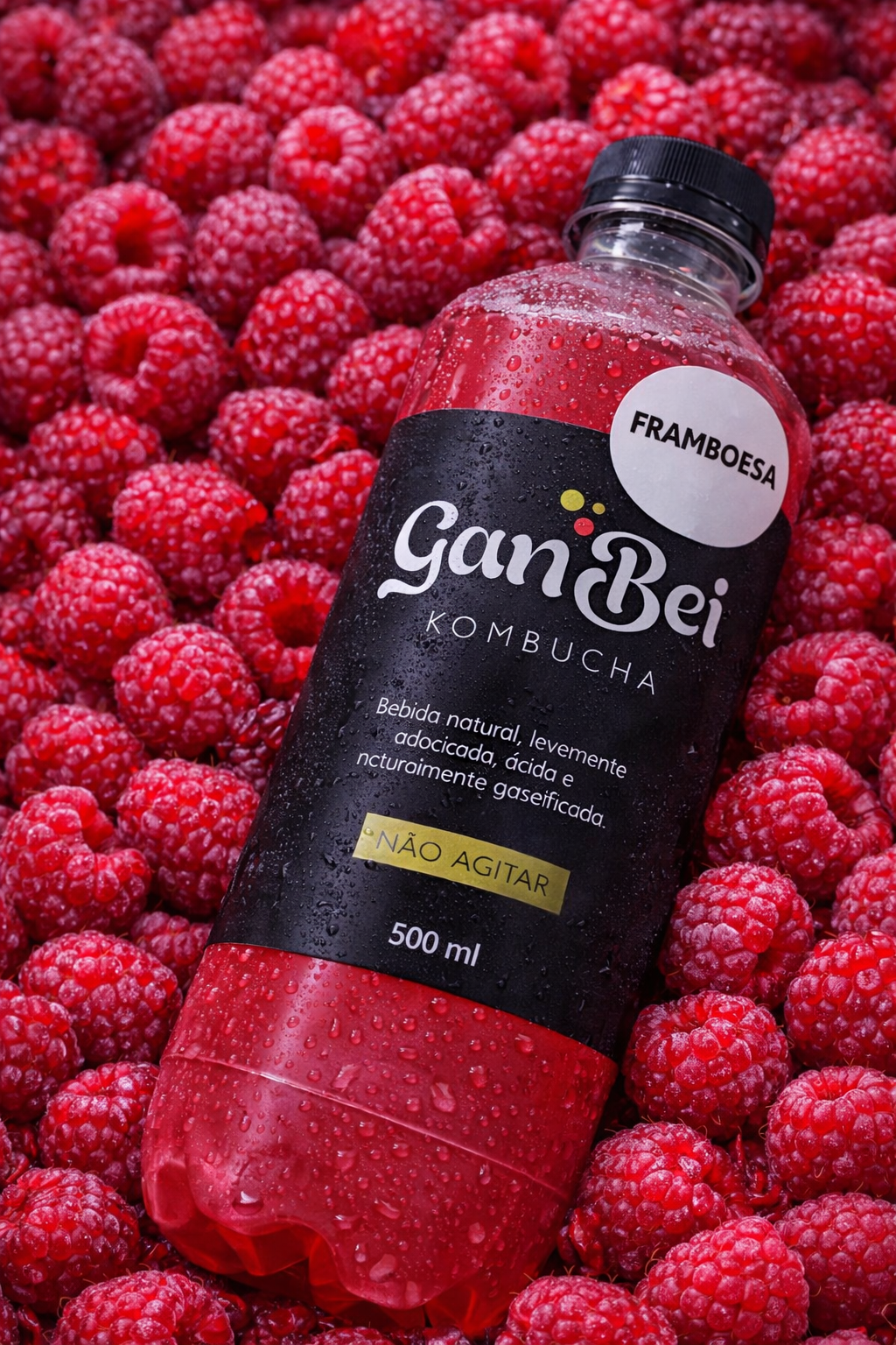 Kombucha GanBei Framboesa