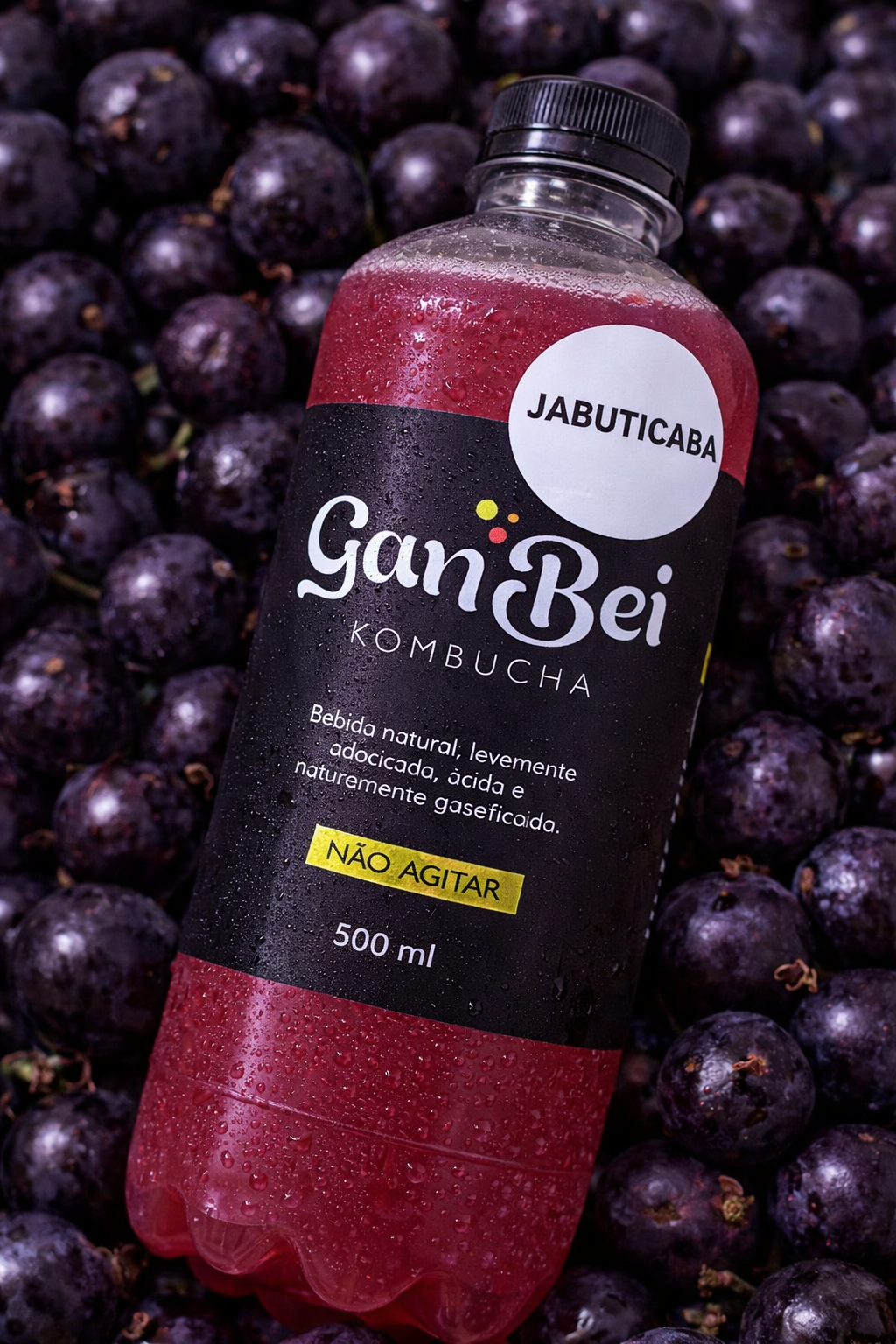 Kombucha GanBei Jabuticaba